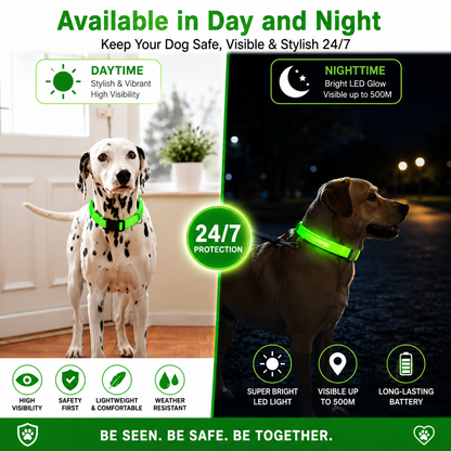 LED Glowing Dog Collar